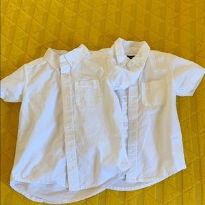 Boys short sleeve button shirt